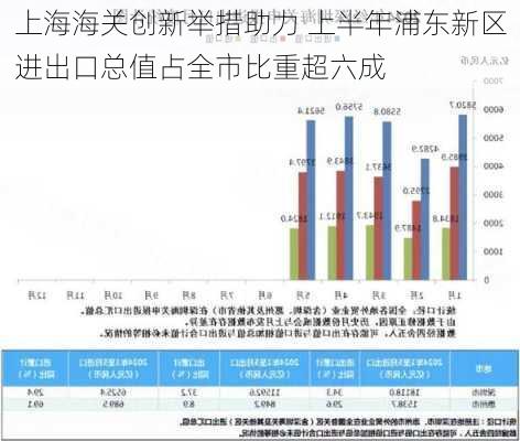 上海海关创新举措助力 上半年浦东新区进出口总值占全市比重超六成