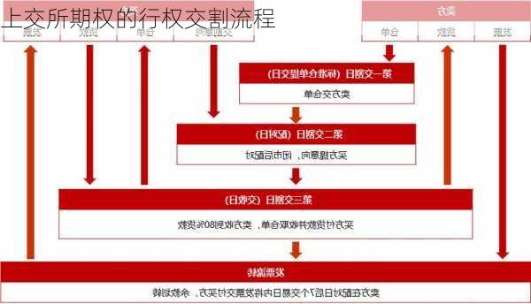 上交所期权的行权交割流程