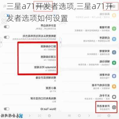 三星a71开发者选项,三星a71开发者选项如何设置