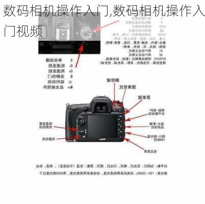 数码相机操作入门,数码相机操作入门视频