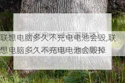 联想电脑多久不充电电池会毁,联想电脑多久不充电电池会毁掉