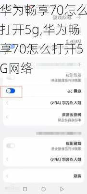华为畅享70怎么打开5g,华为畅享70怎么打开5G网络