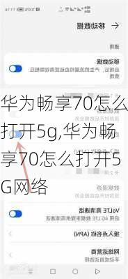 华为畅享70怎么打开5g,华为畅享70怎么打开5G网络