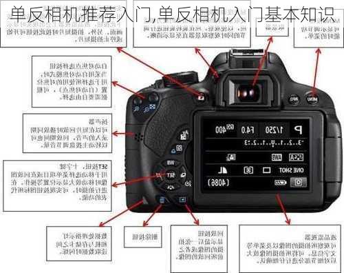 单反相机推荐入门,单反相机入门基本知识