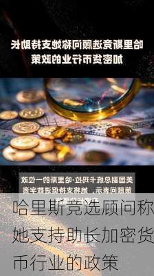 哈里斯竞选顾问称她支持助长加密货币行业的政策