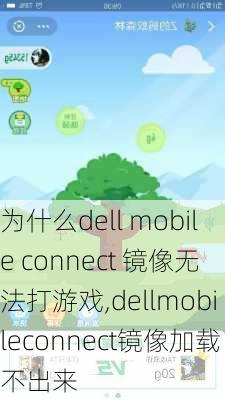 为什么dell mobile connect 镜像无法打游戏,dellmobileconnect镜像加载不出来