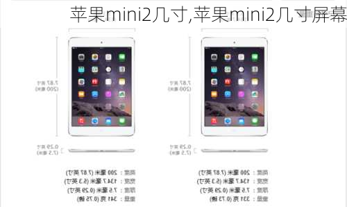 苹果mini2几寸,苹果mini2几寸屏幕