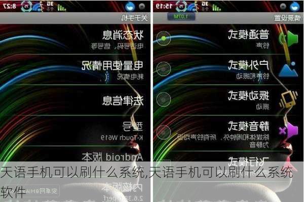 天语手机可以刷什么系统,天语手机可以刷什么系统软件