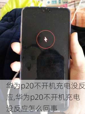 华为p20不开机充电没反应,华为p20不开机充电没反应怎么回事