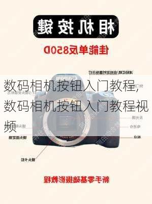 数码相机按钮入门教程,数码相机按钮入门教程视频