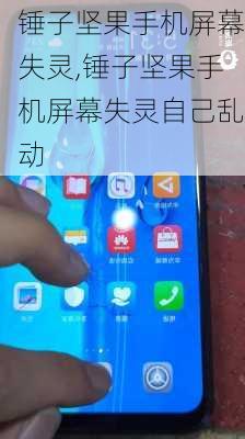 锤子坚果手机屏幕失灵,锤子坚果手机屏幕失灵自己乱动