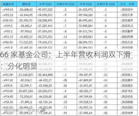 66 家基金公司：上半年营收利润双下滑 ：分化明显