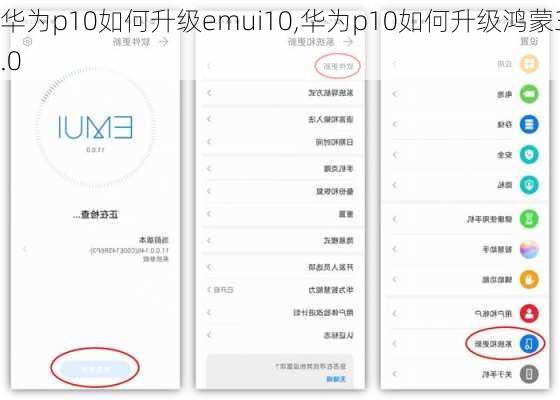 华为p10如何升级emui10,华为p10如何升级鸿蒙3.0