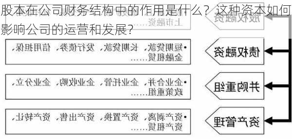 股本在公司财务结构中的作用是什么？这种资本如何影响公司的运营和发展？