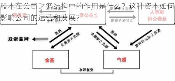 股本在公司财务结构中的作用是什么？这种资本如何影响公司的运营和发展？