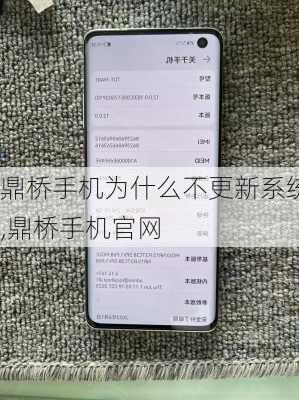 鼎桥手机为什么不更新系统,鼎桥手机官网