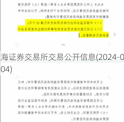 上海证券交易所交易公开信息(2024-09-04)