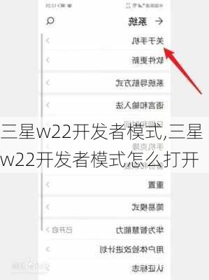 三星w22开发者模式,三星w22开发者模式怎么打开