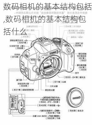 数码相机的基本结构包括,数码相机的基本结构包括什么