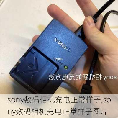 sony数码相机充电正常样子,sony数码相机充电正常样子图片