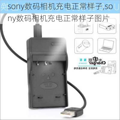 sony数码相机充电正常样子,sony数码相机充电正常样子图片