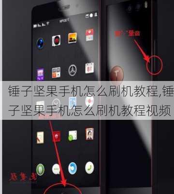 锤子坚果手机怎么刷机教程,锤子坚果手机怎么刷机教程视频