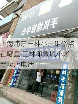 上海浦东三林小米维修点在哪里,三林印象城小米专卖店电话