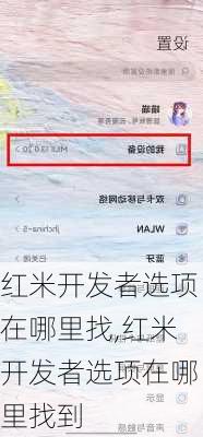 红米开发者选项在哪里找,红米开发者选项在哪里找到