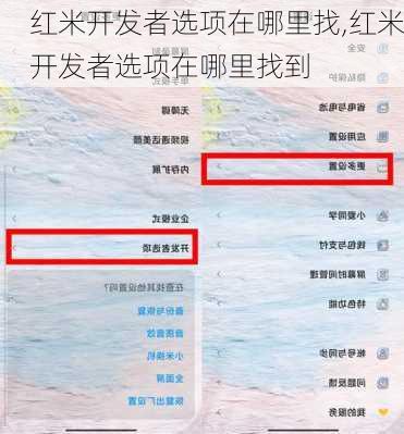 红米开发者选项在哪里找,红米开发者选项在哪里找到