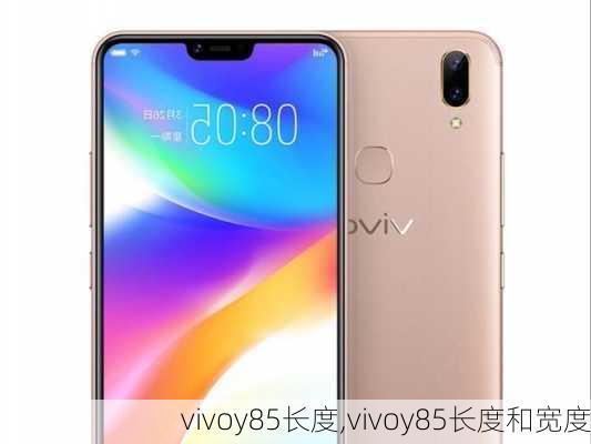 vivoy85长度,vivoy85长度和宽度