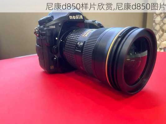 尼康d850样片欣赏,尼康d850图片