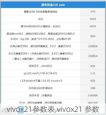 vivox21参数表,vivox21 参数