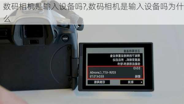 数码相机是输入设备吗?,数码相机是输入设备吗为什么