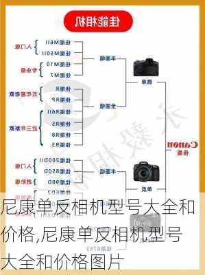 尼康单反相机型号大全和价格,尼康单反相机型号大全和价格图片