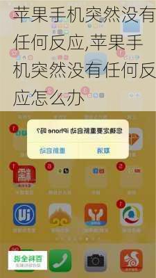 苹果手机突然没有任何反应,苹果手机突然没有任何反应怎么办
