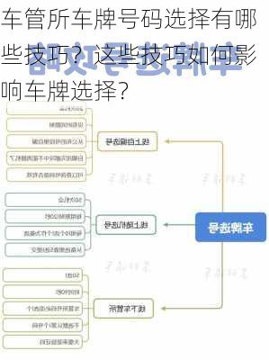 车管所车牌号码选择有哪些技巧？这些技巧如何影响车牌选择？