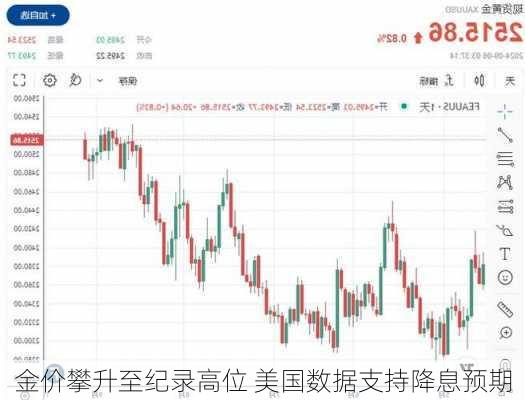 金价攀升至纪录高位 美国数据支持降息预期