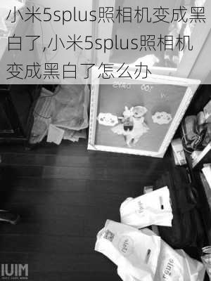 小米5splus照相机变成黑白了,小米5splus照相机变成黑白了怎么办