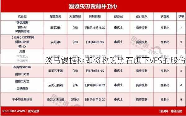 淡马锡据称即将收购黑石旗下VFS的股份