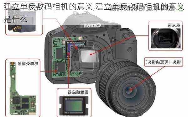 建立单反数码相机的意义,建立单反数码相机的意义是什么
