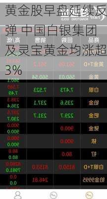 黄金股早盘延续反弹 中国白银集团及灵宝黄金均涨超3%