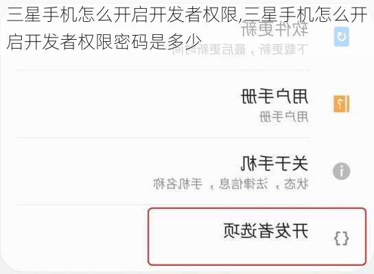 三星手机怎么开启开发者权限,三星手机怎么开启开发者权限密码是多少