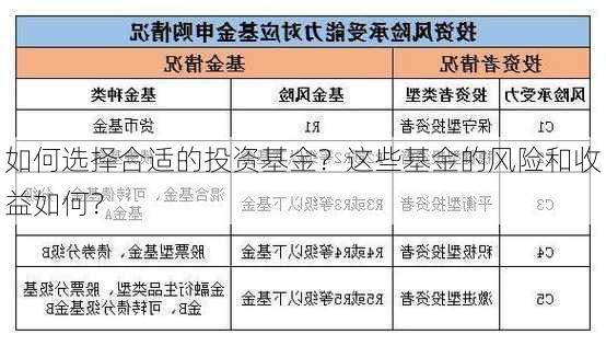 如何选择合适的投资基金？这些基金的风险和收益如何？