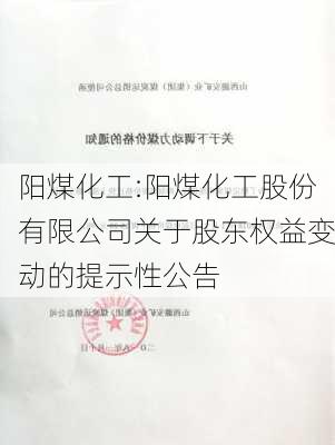 阳煤化工:阳煤化工股份有限公司关于股东权益变动的提示性公告