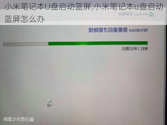 小米笔记本U盘启动蓝屏,小米笔记本u盘启动蓝屏怎么办