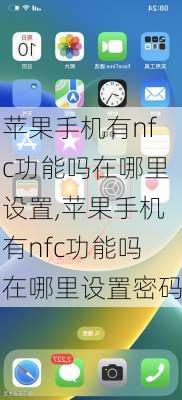 苹果手机有nfc功能吗在哪里设置,苹果手机有nfc功能吗在哪里设置密码