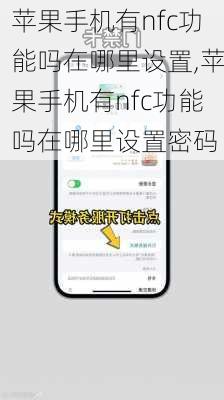 苹果手机有nfc功能吗在哪里设置,苹果手机有nfc功能吗在哪里设置密码