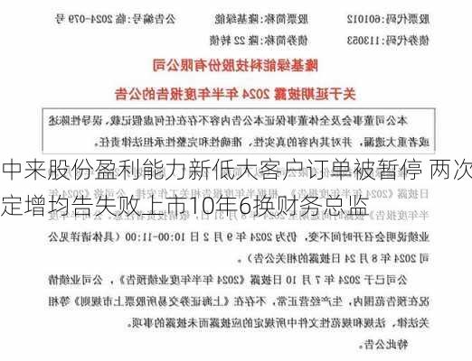 中来股份盈利能力新低大客户订单被暂停 两次定增均告失败上市10年6换财务总监