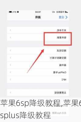 苹果6sp降级教程,苹果6splus降级教程