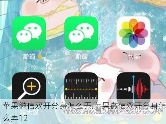 苹果微信双开分身怎么弄,苹果微信双开分身怎么弄12